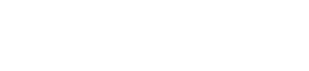 Singular